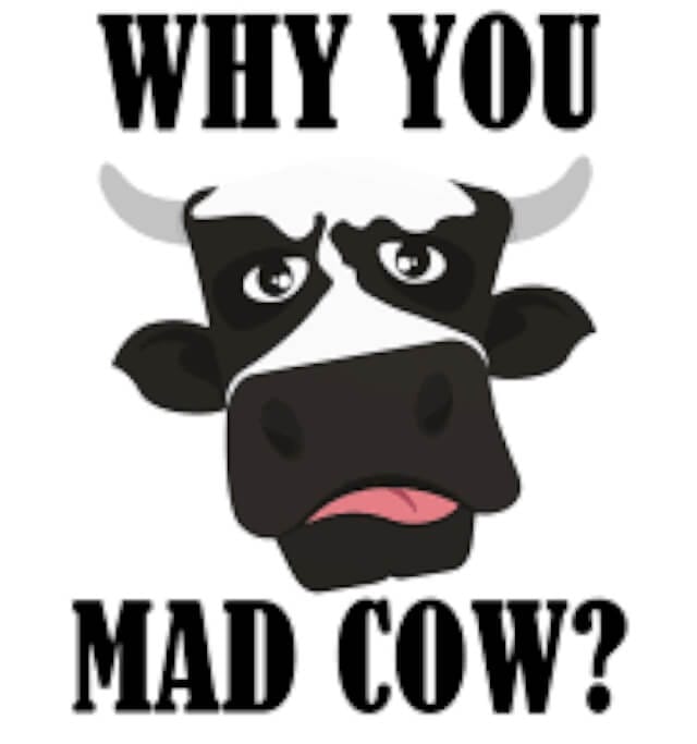 MAD COW AND YOU cover