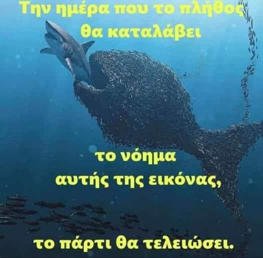 518118227 1330103038615429 3365388413624836448 n